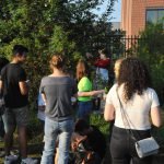 Die Schafgarbe - Heilpflanze im August