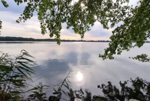 Heilkräuterwanderung am Windebyer Noor