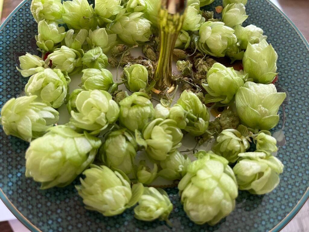 Hier werden sie getrocknet